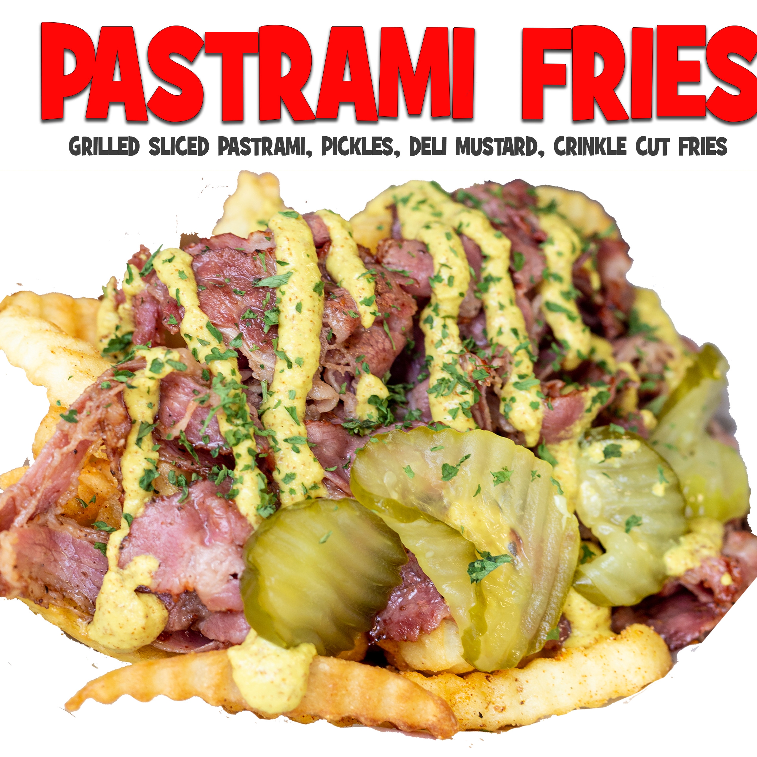 Pastrami Fries 